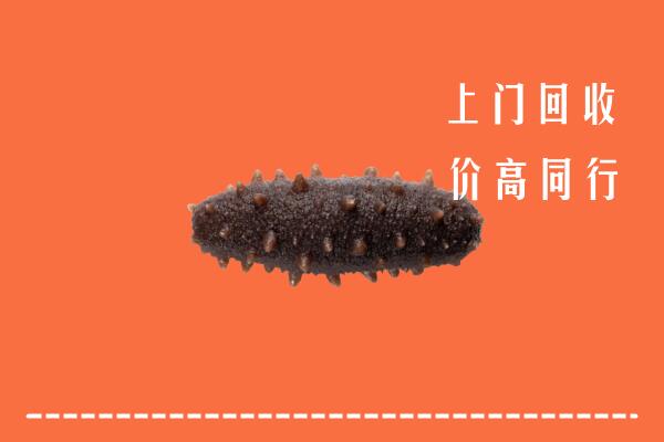 酒泉高价回收海参