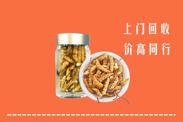 附近收购：酒泉回收冬虫夏草